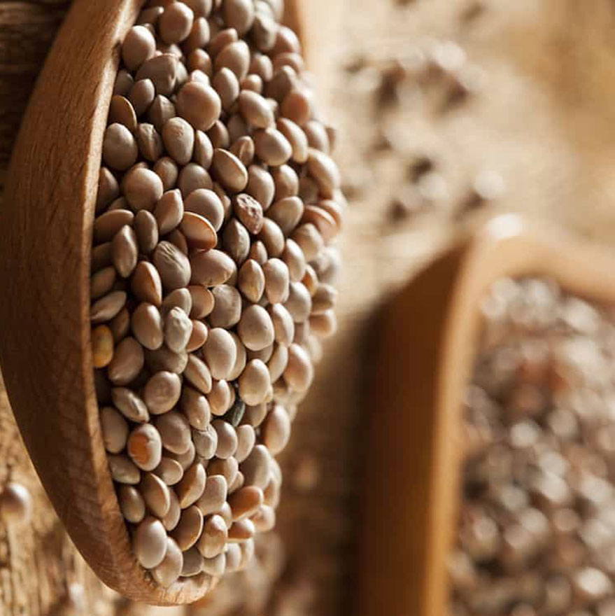 lentils